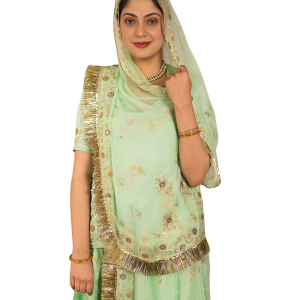 Aqua Green Zari Sequins Work Poshak Set | Bamber Satin with Solid Odhna | Jaipurio Designer Collection